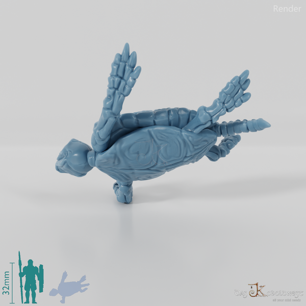 Turtle - Skeleton Sea Turtle 02