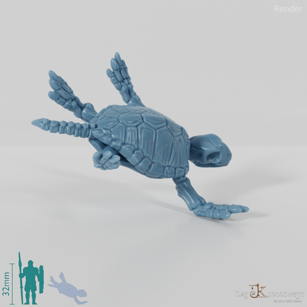 Turtle - Skeleton Sea Turtle 02
