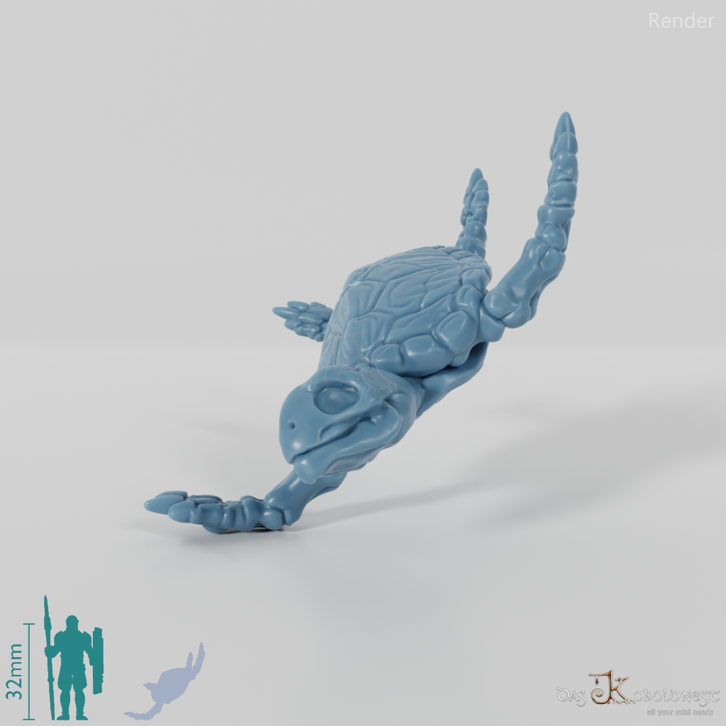 Schildkröte - Skelett-Meeresschildkröte 02