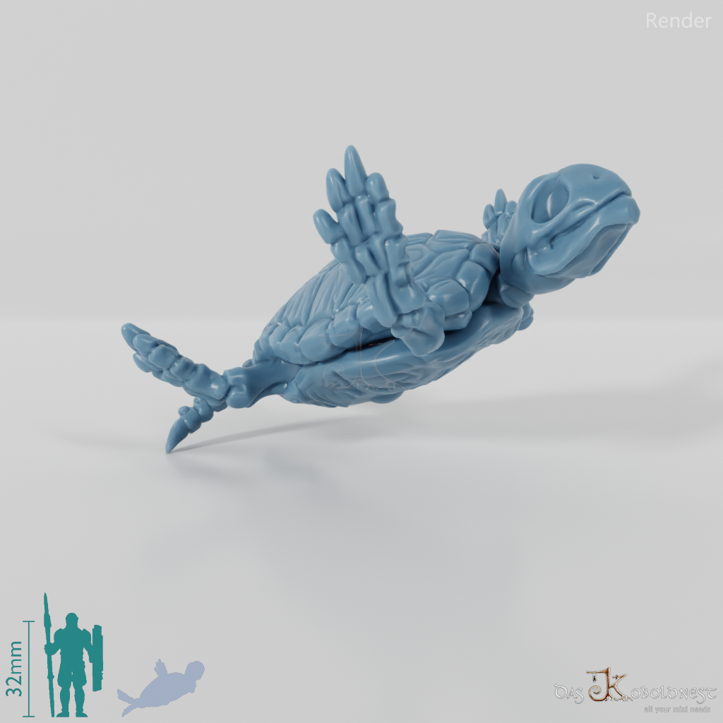 Turtle - Skeleton Sea Turtle 03