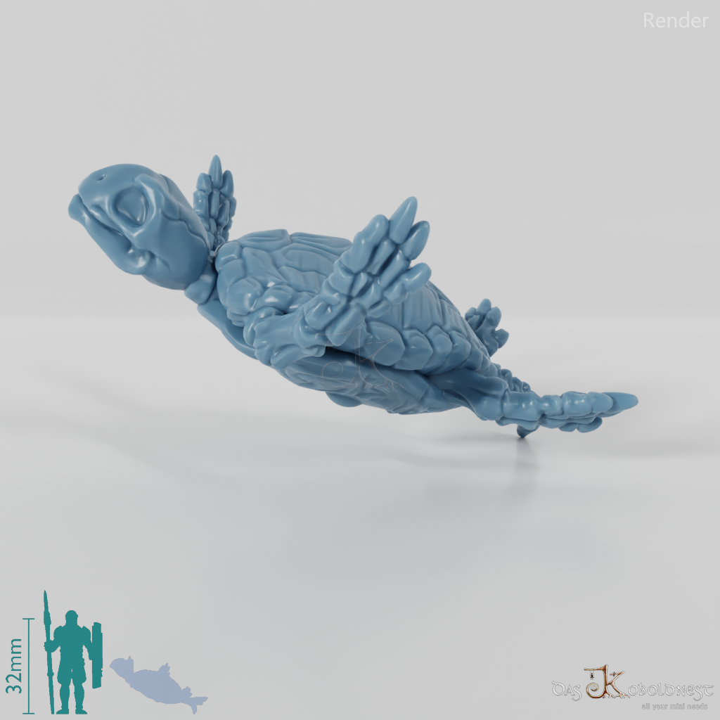 Schildkröte - Skelett-Meeresschildkröte 03