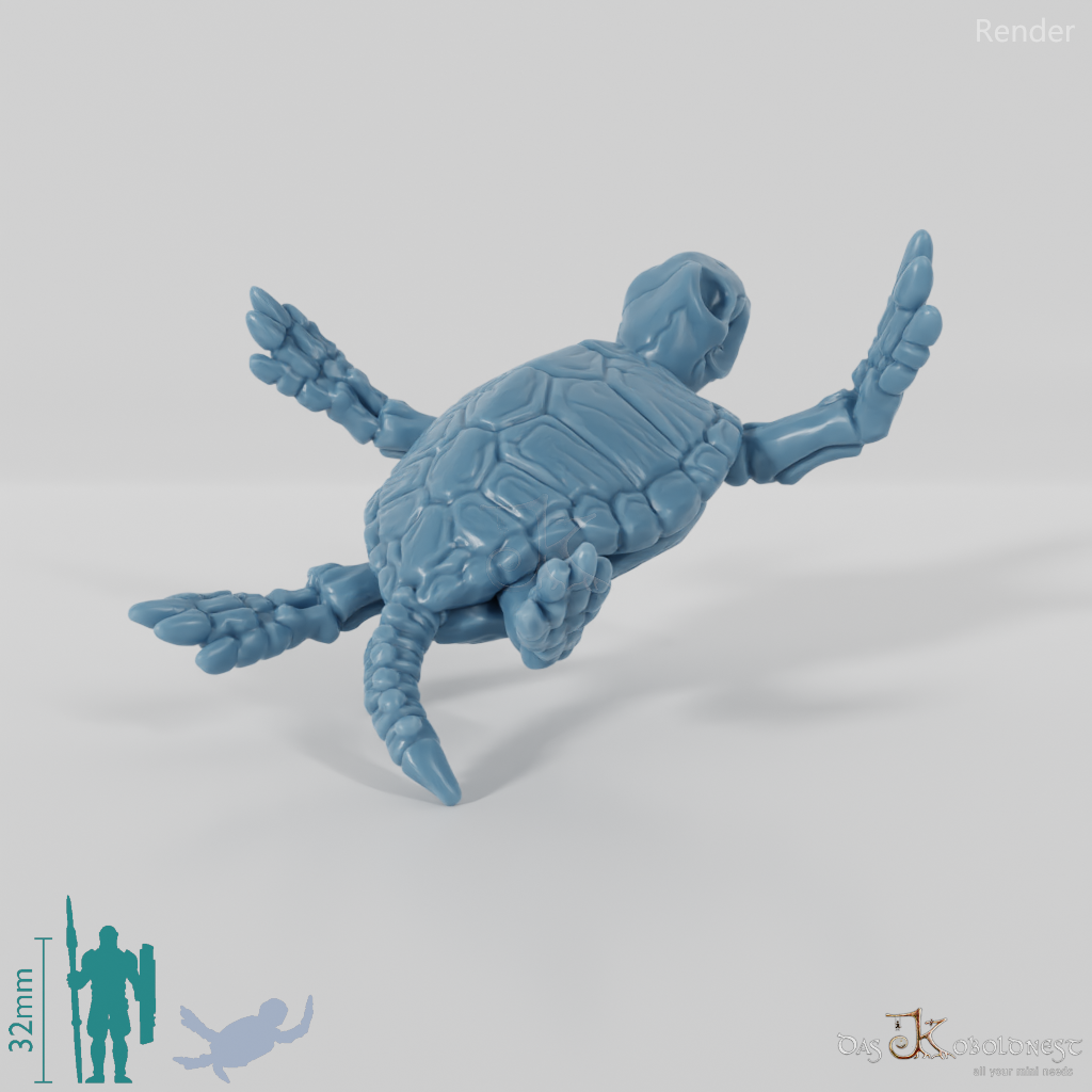 Schildkröte - Skelett-Meeresschildkröte 03