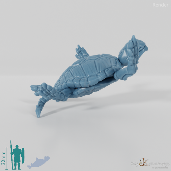 Turtle - Skeleton Sea Turtle 03