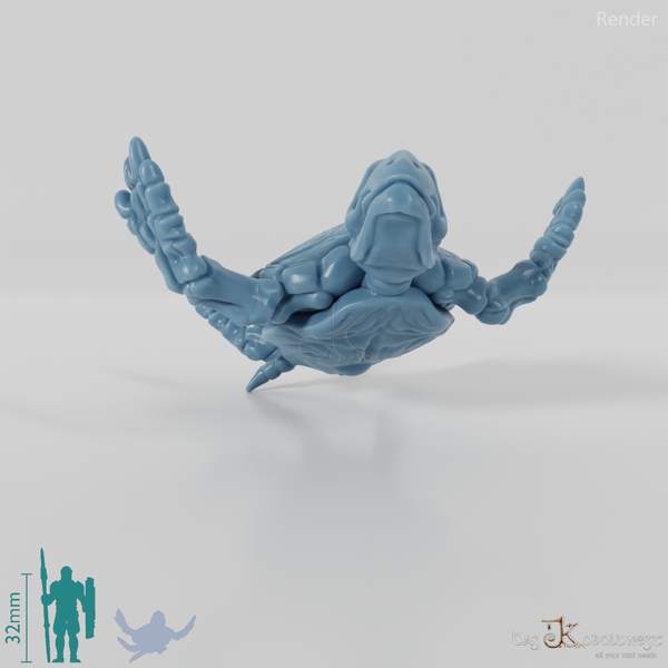 Turtle - Skeleton Sea Turtle 03