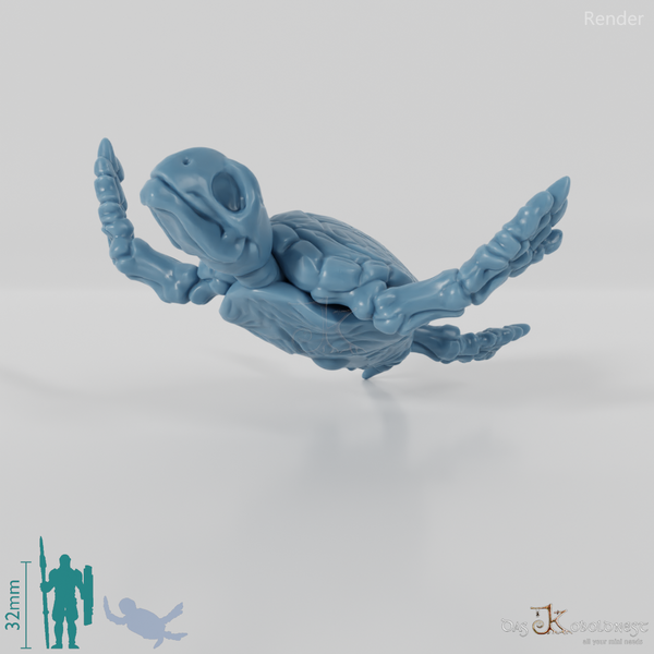 Turtle - Skeleton Sea Turtle 03