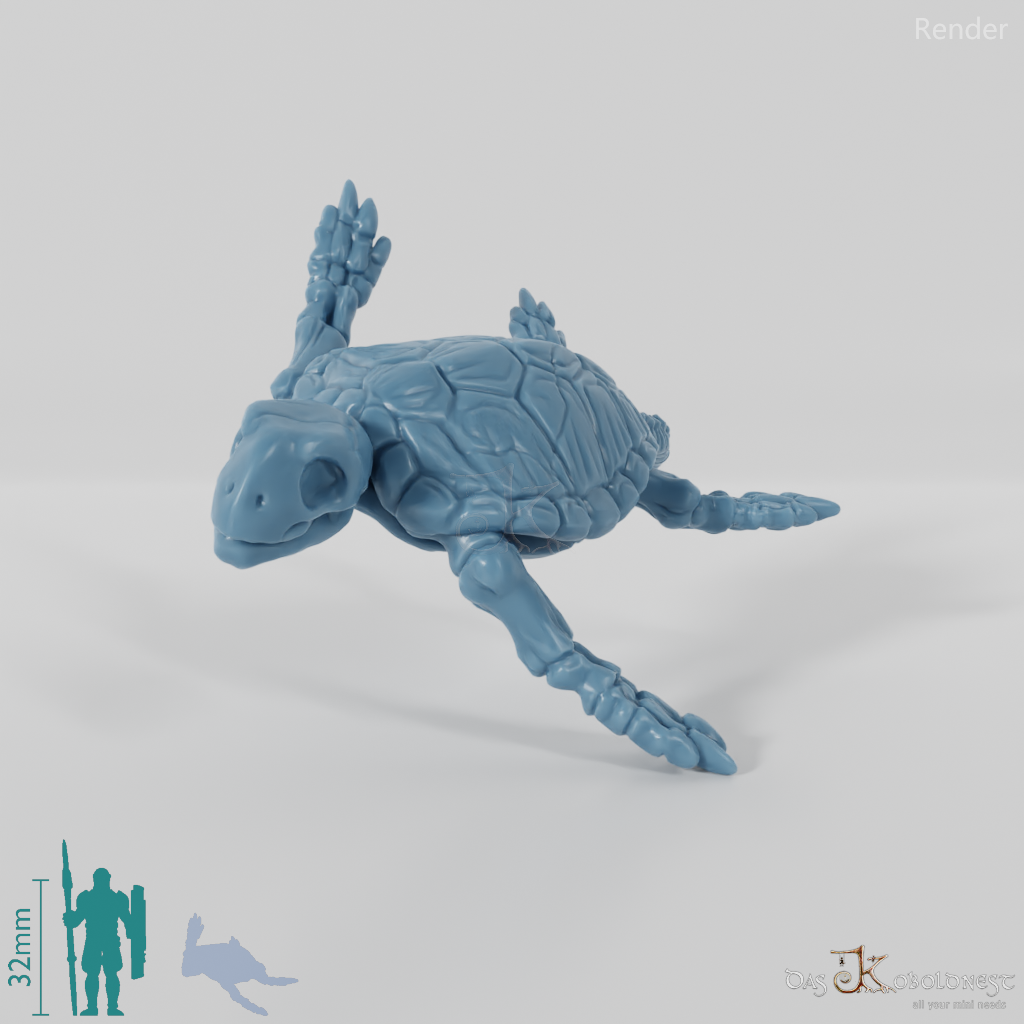 Schildkröte - Skelett-Meeresschildkröte 01
