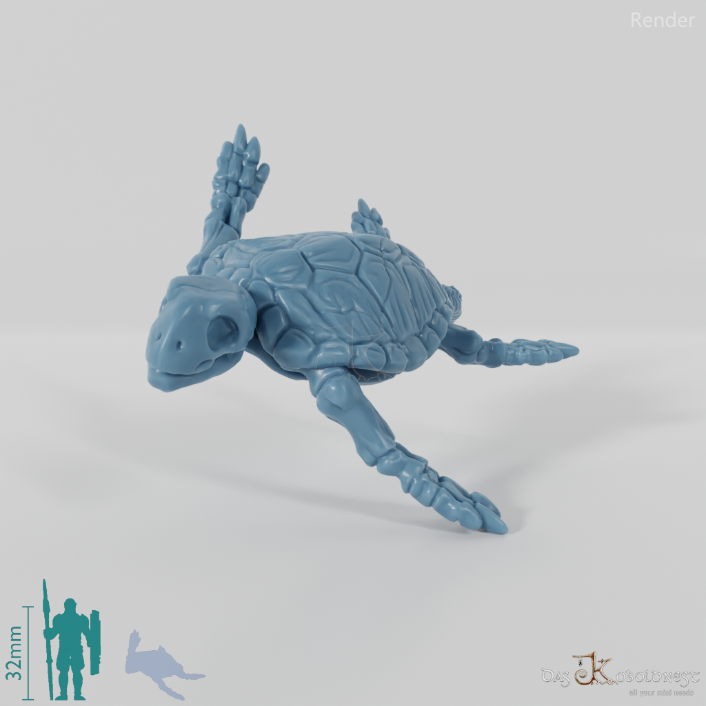 Turtle - Skeleton Sea Turtle 01