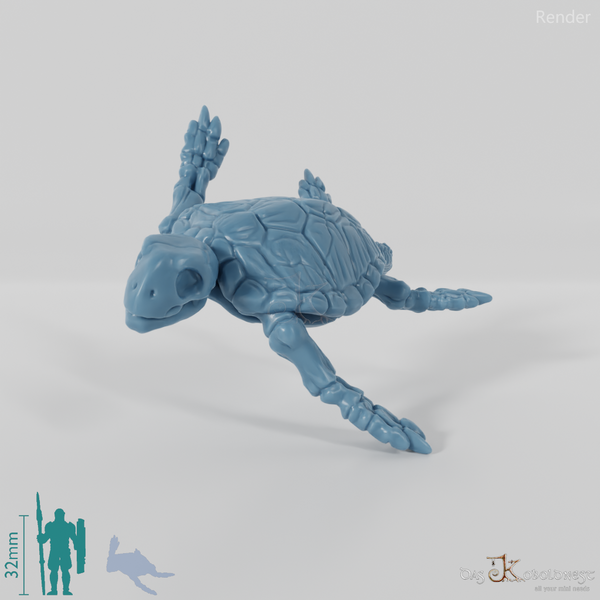 Schildkröte - Skelett-Meeresschildkröte 01