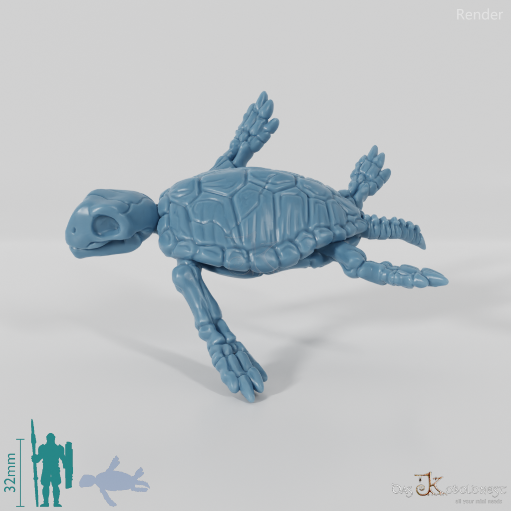 Turtle - Skeleton Sea Turtle 01