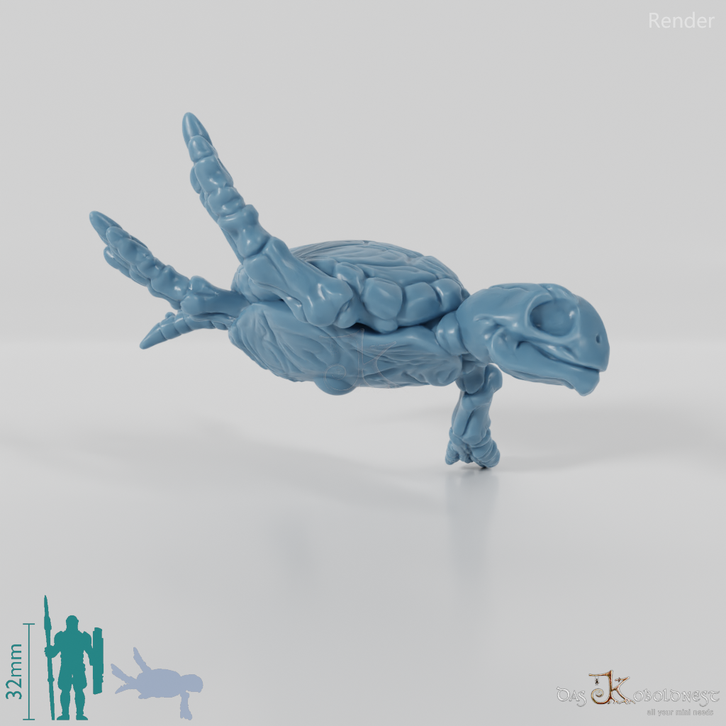 Schildkröte - Skelett-Meeresschildkröte 01