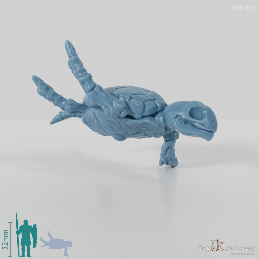 Turtle - Skeleton Sea Turtle 01