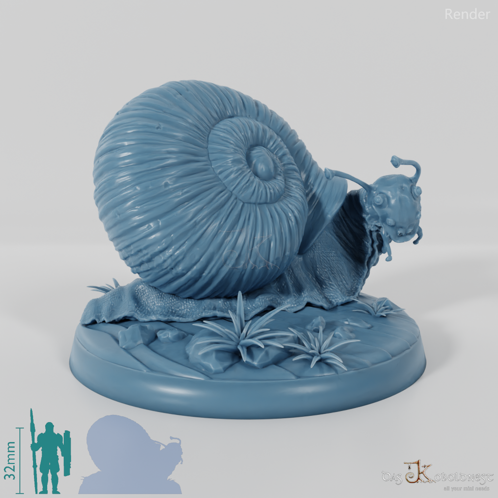 Snail - Giant Snail 01