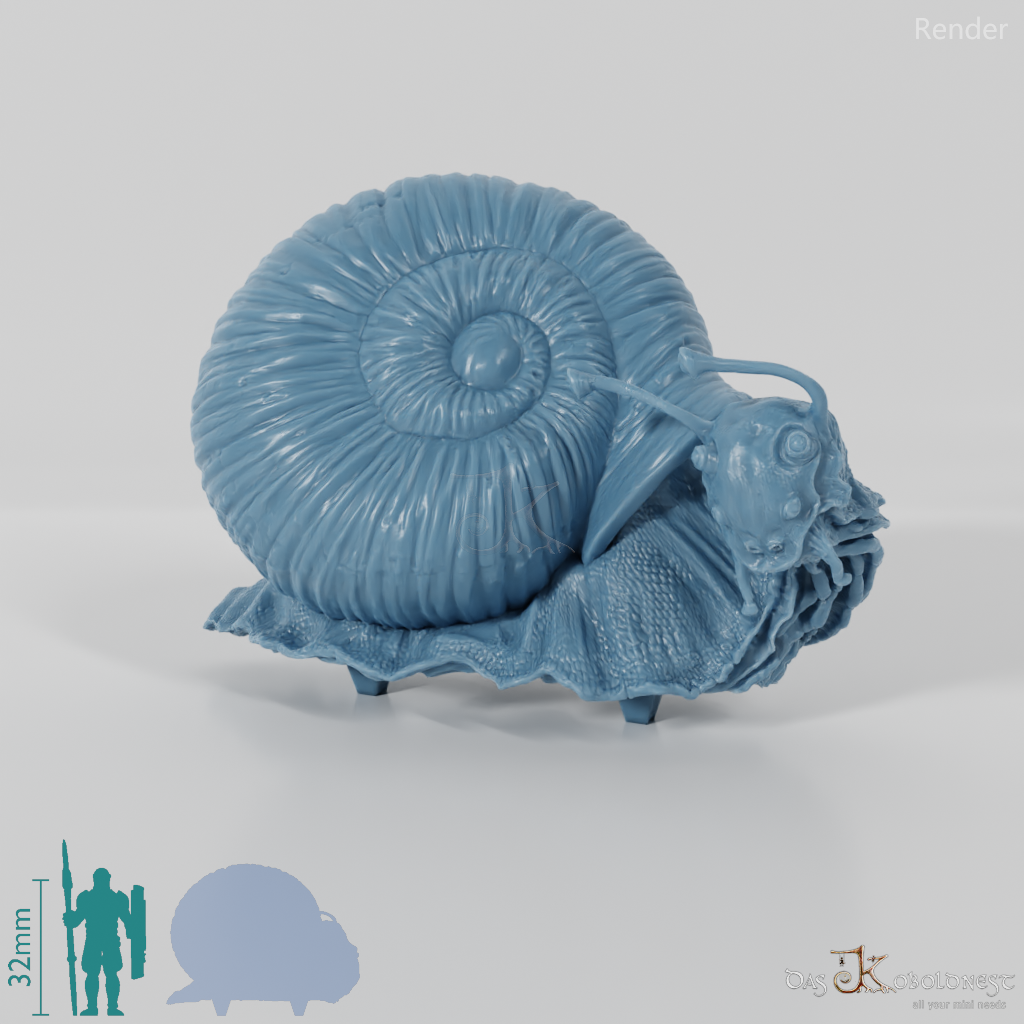 Snail - Giant Snail 01
