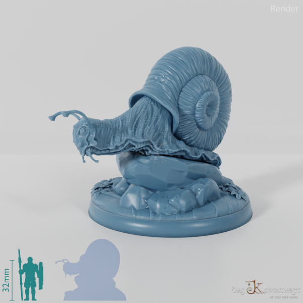 Snail - Giant Snail 02