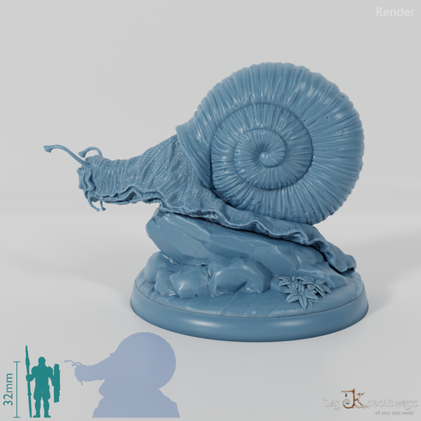 Snail - Giant Snail 02
