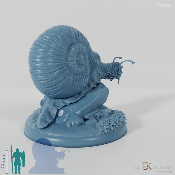Snail - Giant Snail 02