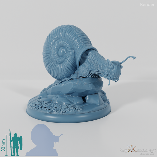 Snail - Giant Snail 02