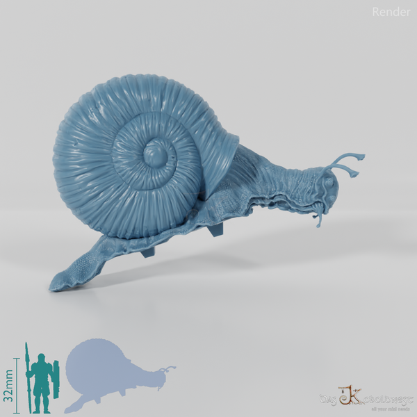 Snail - Giant Snail 02