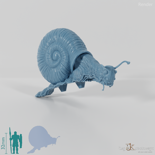 Snail - Giant Snail 02