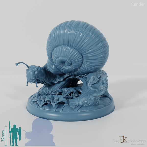Snail - Giant Snail 03