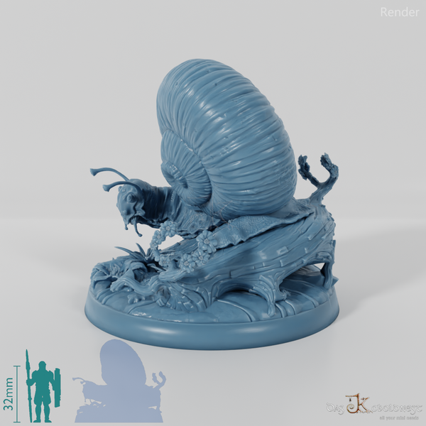 Snail - Giant Snail 03