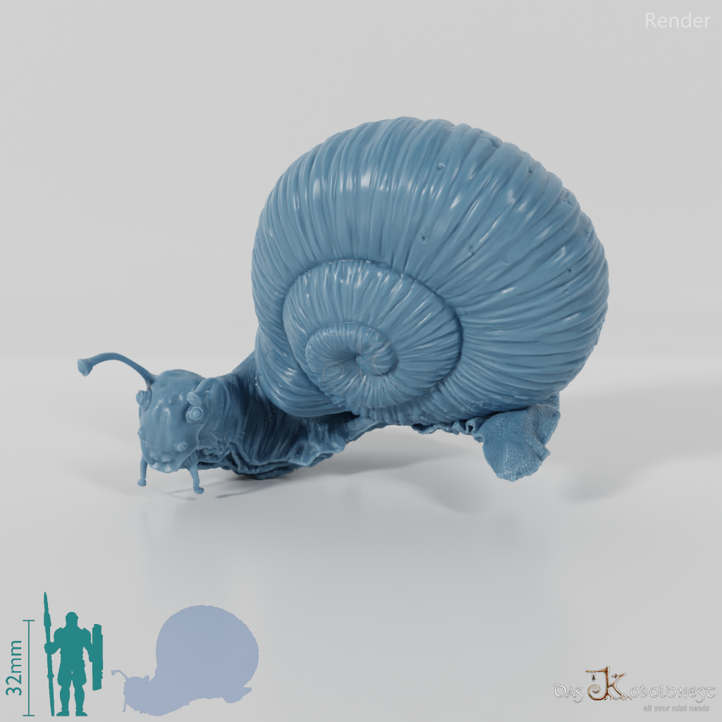 Snail - Giant Snail 03