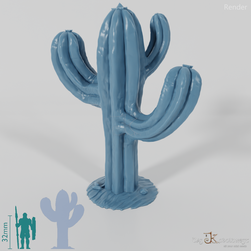 Kaktus 01