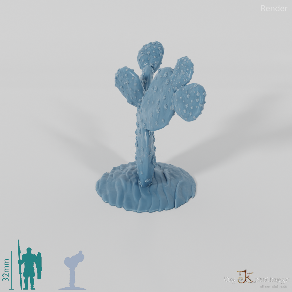 Kaktus 03