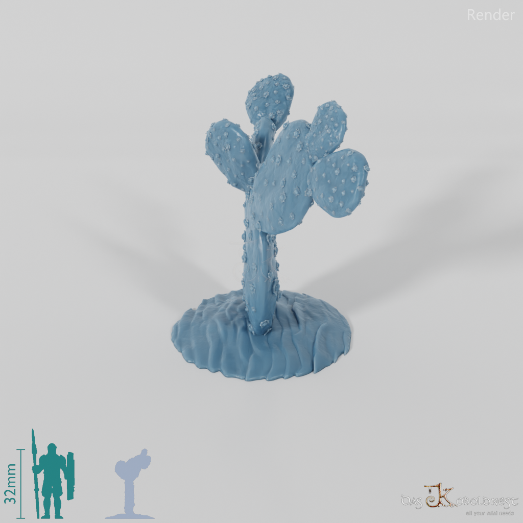 Cactus 03