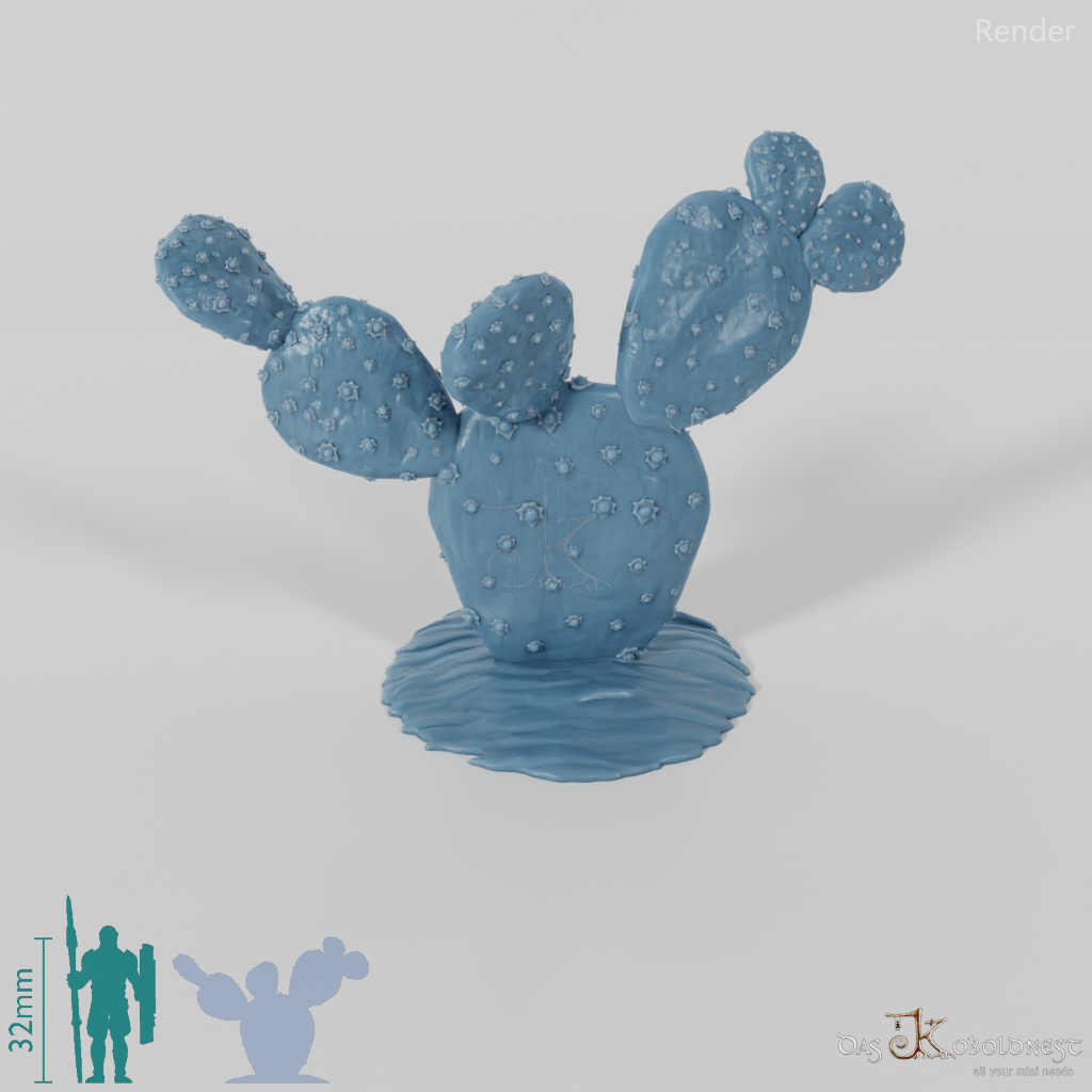 Cactus 03