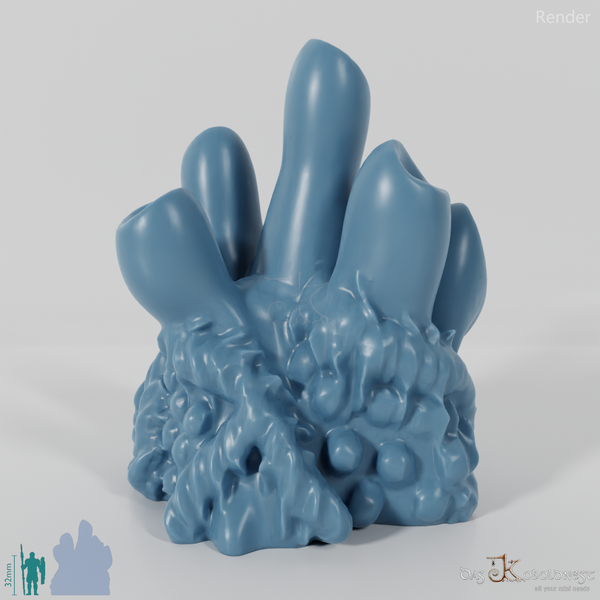 Large tubular mushroom