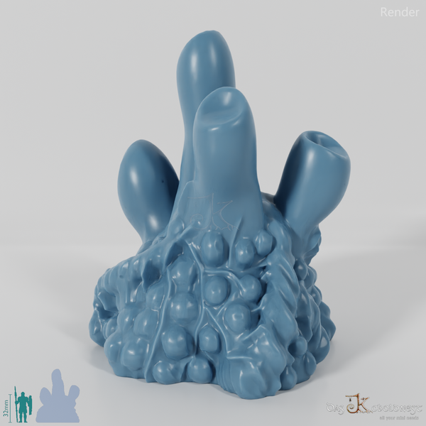 Large tubular mushroom