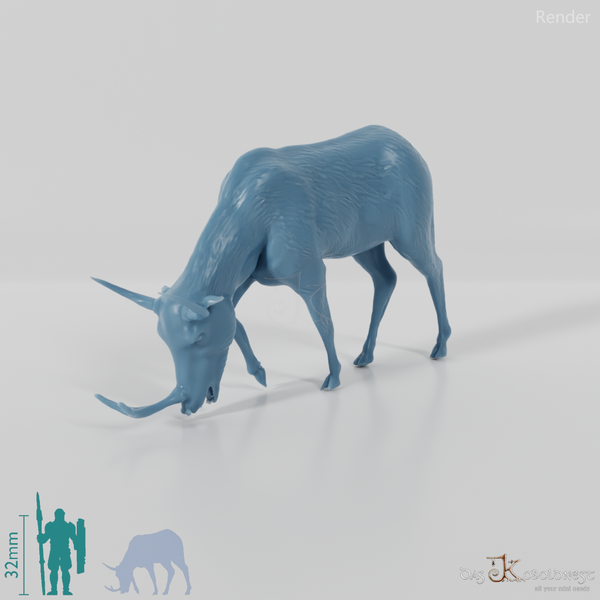 Synthetoceras tricornatus 01 - JJP