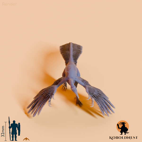 Archaeopteryx lithographica 01