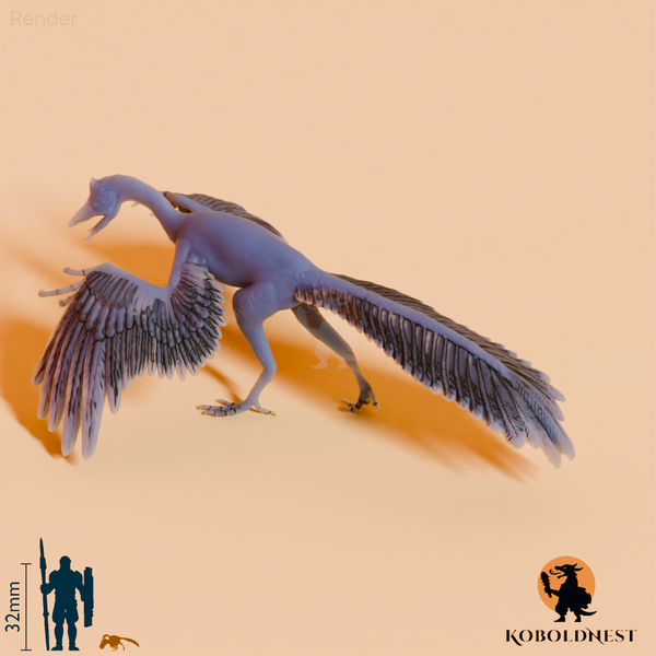 Archaeopteryx lithographica 01
