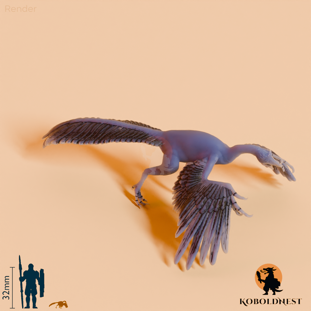 Archaeopteryx lithographica 01