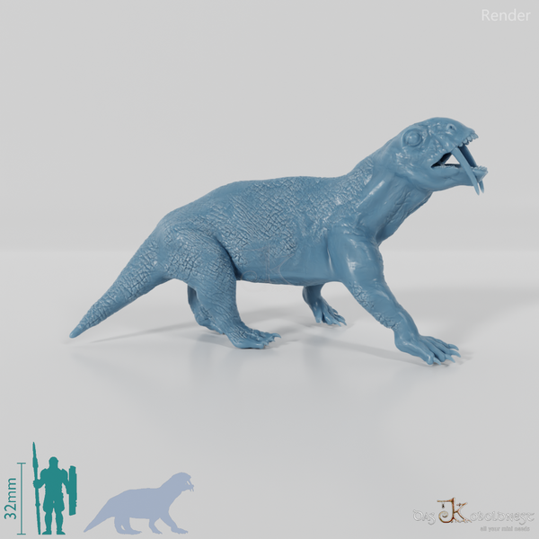 Tiarajudens eccentricus 01 - JJP