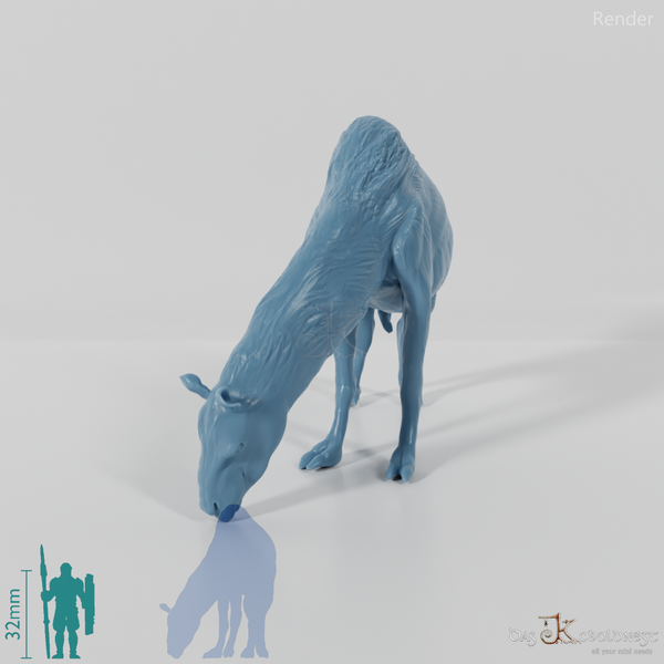 Titanotylopus nebraskensis 05 - JJP