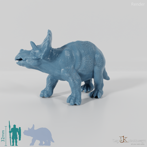 Triceratops horridus 06 (Jungtier) - JJP