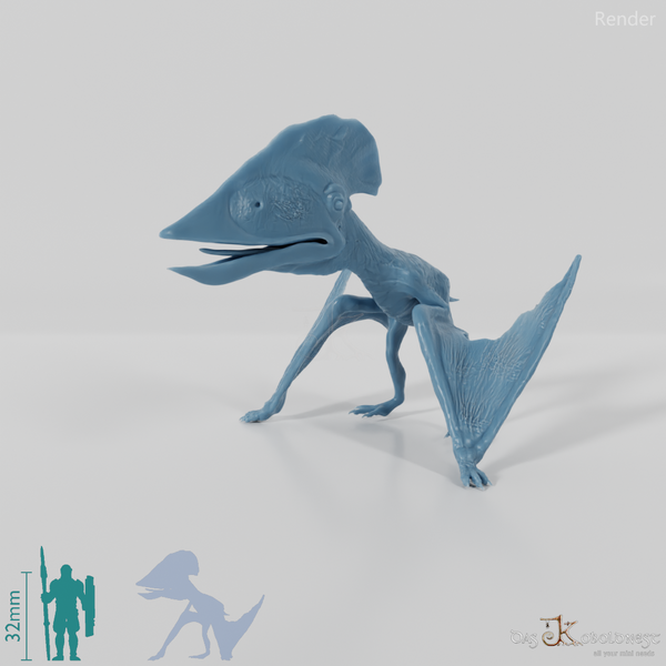 Tupuxuara longicristatus 03 - JJP