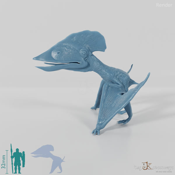 Tupuxuara longicristatus 03 - JJP