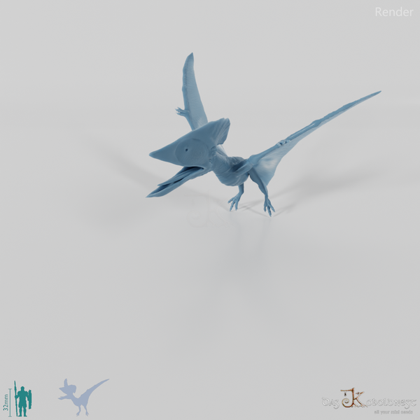 Tupuxuara longicristatus 04 - JJP