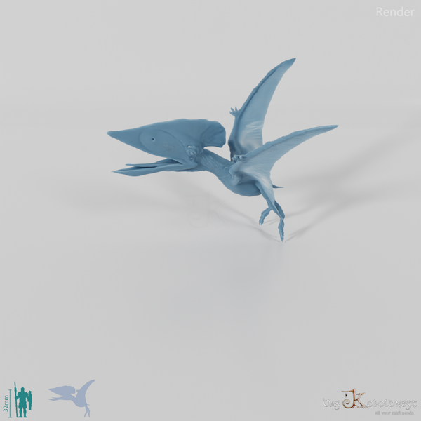 Tupuxuara longicristatus 04 - JJP