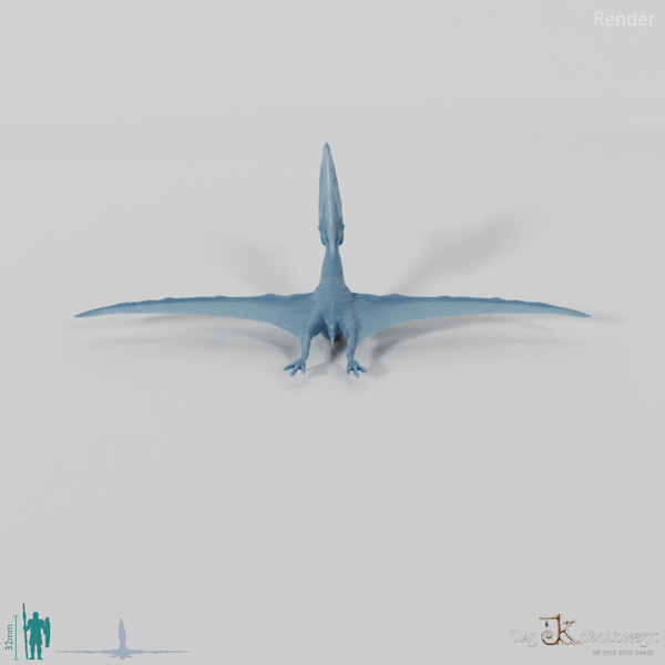 Tupuxuara longicristatus 05 - JJP