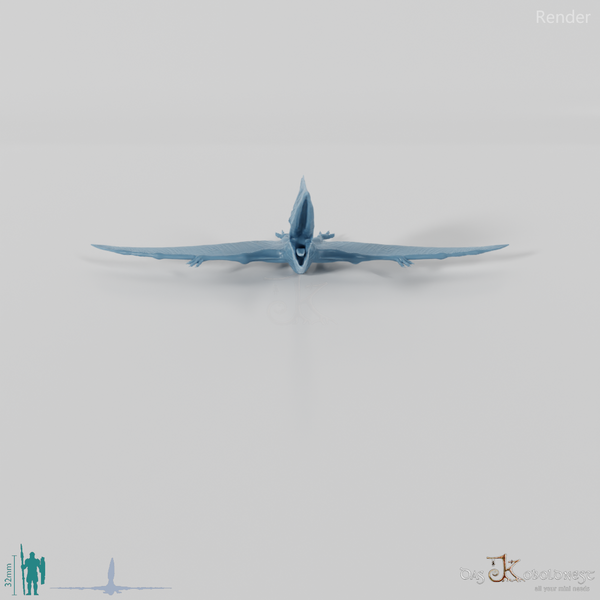 Tupuxuara longicristatus 05 - JJP