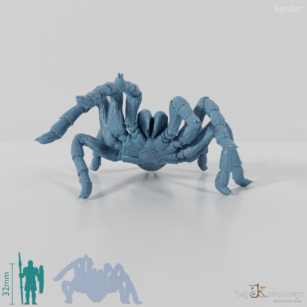 Spinne - Zehnbeinige Riesentarantel 01