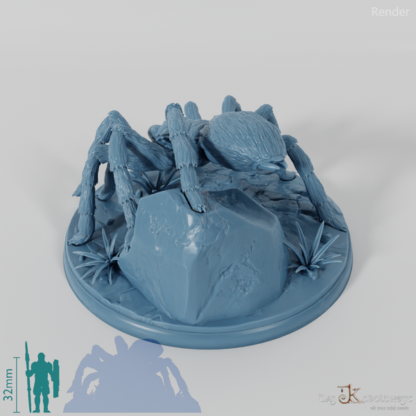 Spider - Ten-Legged Giant Tarantula 02