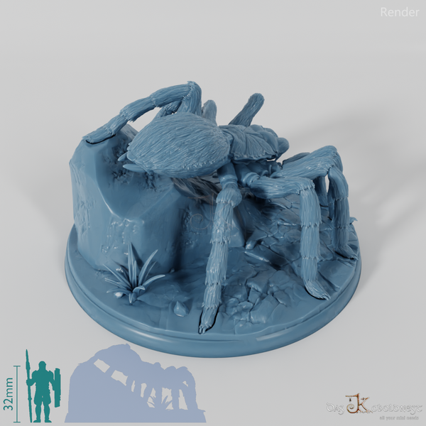 Spider - Ten-Legged Giant Tarantula 02