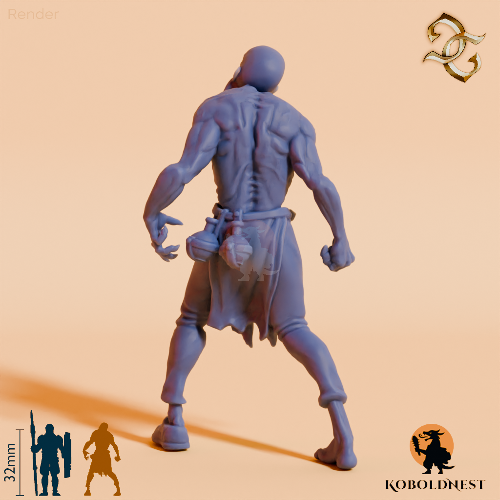 Transformed-Anatomist_render_80pitch_180deg.png
