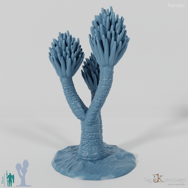 Palm lily with trunk